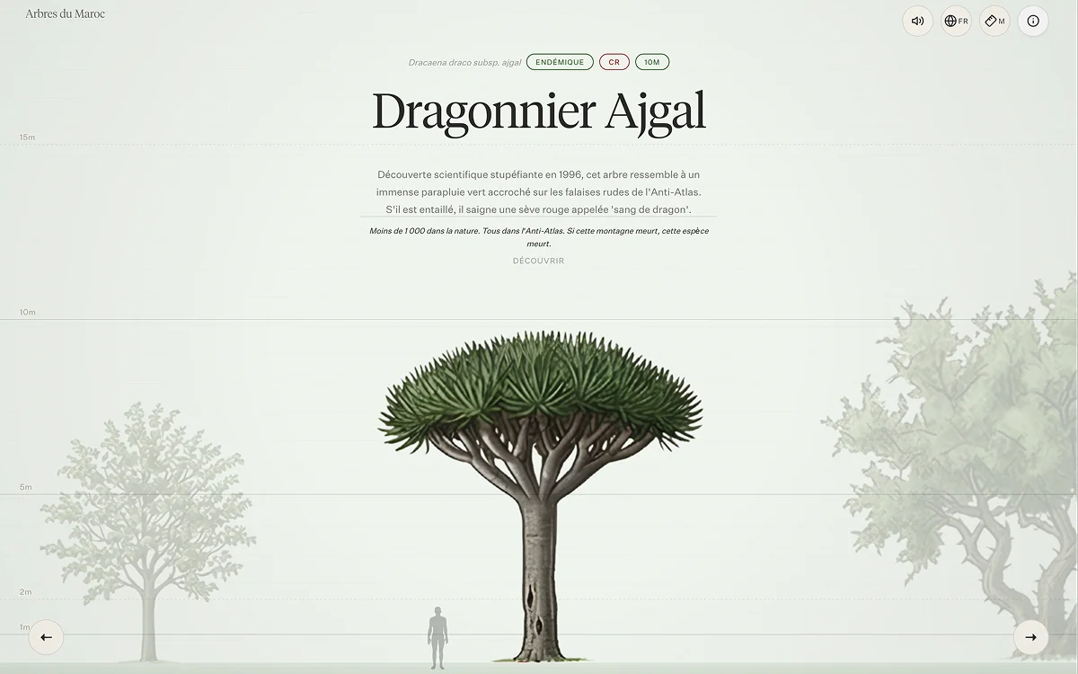 Trees of Morocco — Endemic Species Explorer